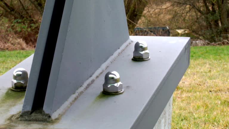Best Comprehensive Air Testing for Mold Contaminants  in Lake Shastina, CA